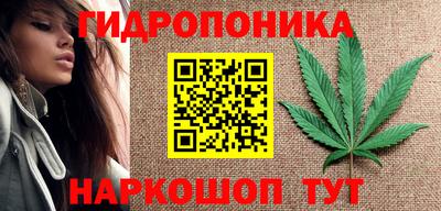 ГАЛЛЮЦИНОГЕННЫЕ ГРИБЫ Беслан